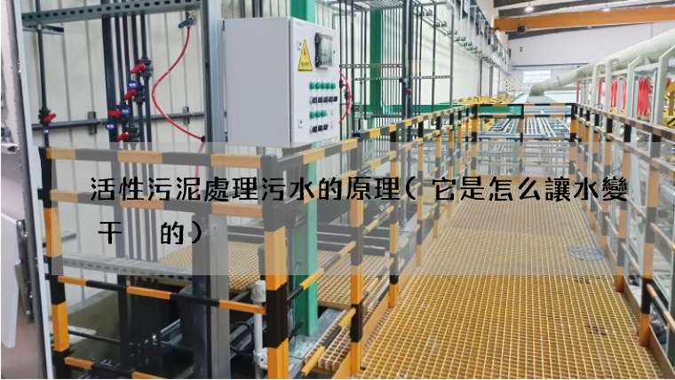 活性污泥處理污水的原理(它是怎么讓水變干凈的)
